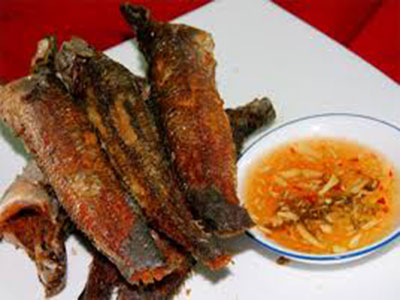 CA-LOC-CHIEN-MAM-TOI